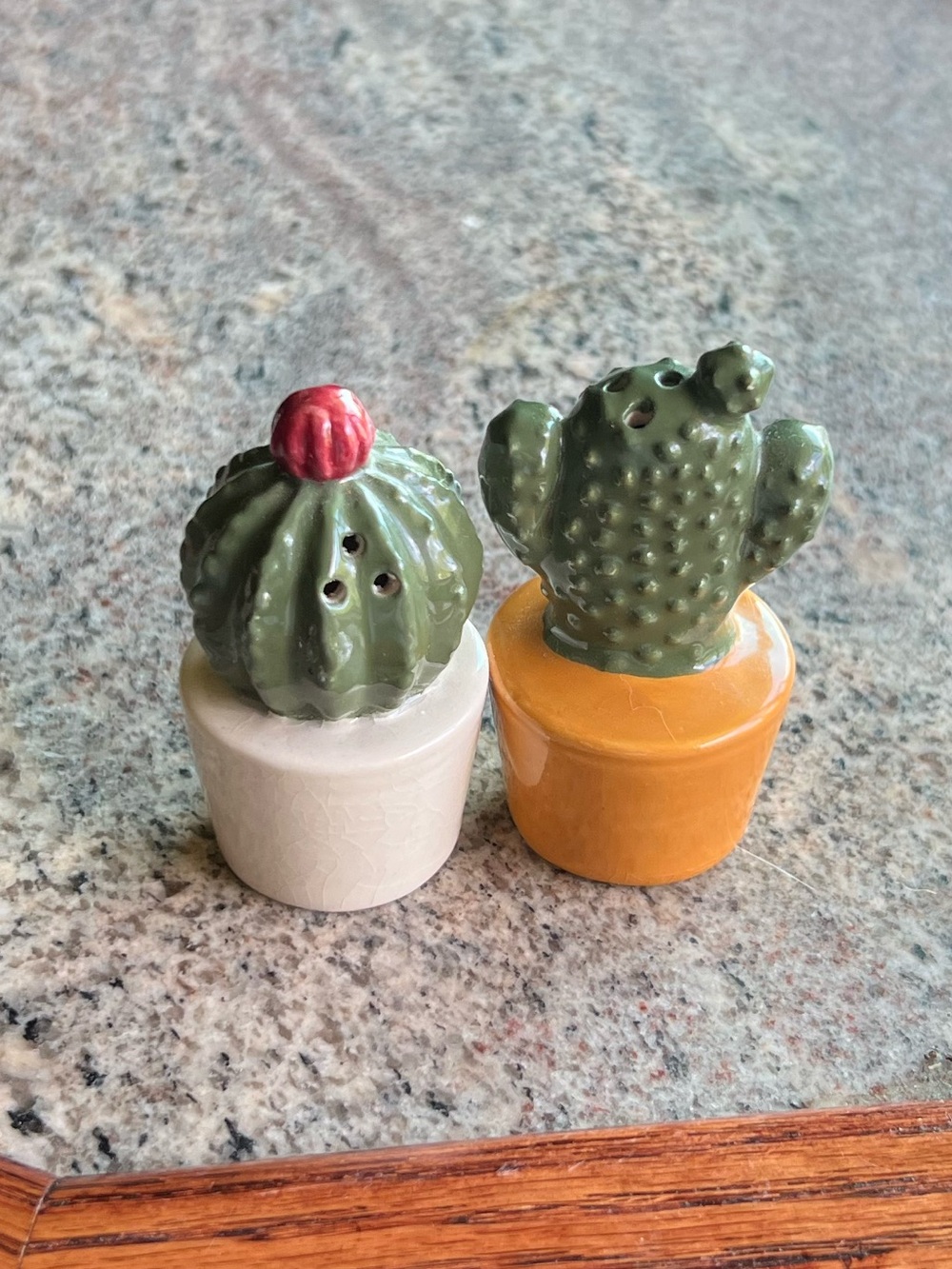 Salt + Pepper Ceramic Cactus Shakers